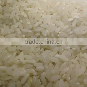 Sungold Short Grain White Rice thumbnail-1