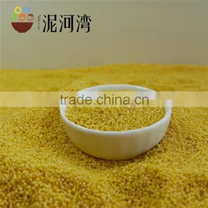Yellow Millet Type of 8311 2015crop Nice Price thumbnail-5