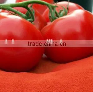 Instant Tomato Powder Hot Selling thumbnail-1