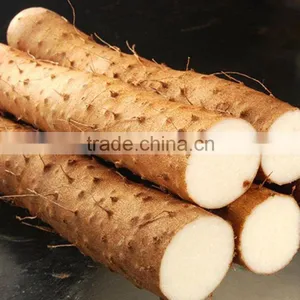 Hot Sale High Quality Natural Rhizome Dioscoreae Powder Food Grade Chinese Yam Rhizome Powder thumbnail-2