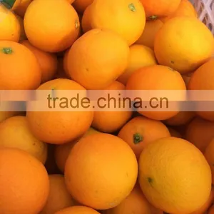 Fresh Sweet Naval Orange thumbnail-4