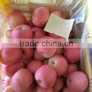 Common Cultivation Type and Pome Fruit Product Type Fresh Apple Fruit for Sale thumbnail-4