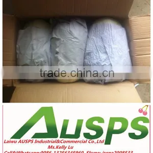 Fresh Chinese Cabbage thumbnail-1