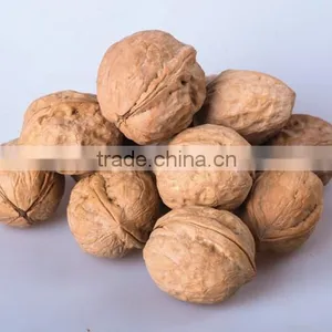 Chinese Walnut Kernel for Hot Sale and With Good Quality and Free Sample for You thumbnail-4