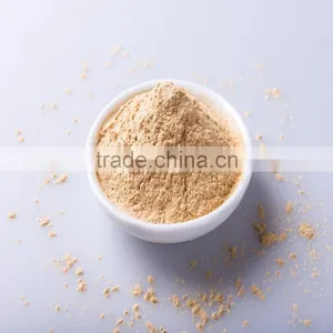 80 Mesh Grated Fresh Ginger Ginger Powder thumbnail-3
