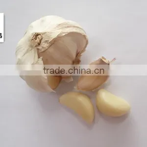 Certificated HACCP HALAL Exported Fresh Garlic White Garlic thumbnail-3