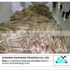 Freshwater Eel Fish Buyer thumbnail-2