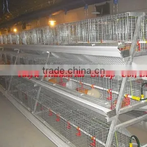 TAIYU Factory Battery Broiler Cage System thumbnail-1