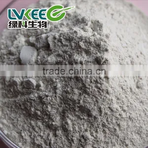 200 Billion Cfu/g Bacillus Subtilis for Wholesale thumbnail-2