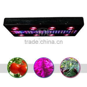 High Power LED Grow Light For Garden Greenhouse thumbnail-2
