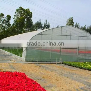 Economical Single Span Arch Pipes Film Greenhouse thumbnail-3
