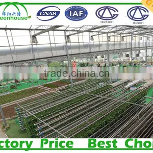 Multi-Span Agricultural Greenhouses Type and PC Sheet Cover Material Commercial Greenhouses thumbnail-5