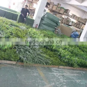 Russia's Project of Artificial Green Wall/park and Shopping Mall Plant Green Wall thumbnail-2