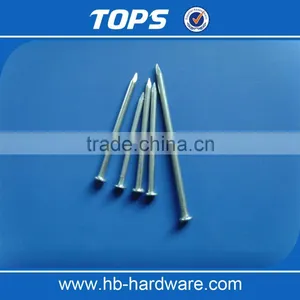 2017 China Cheap Wholesale Common Nail Wooden Nails Iron Nails thumbnail-5