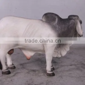 Definitive Brahman Looking Left thumbnail-3