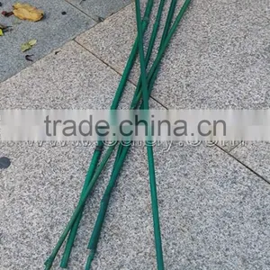 Plastic Coated Bamboo Canes thumbnail-1