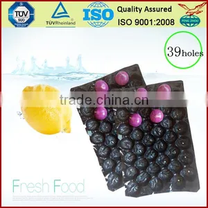 Canada Popular Wholesale Greenhouse Agriculture Products Packaging Plastic Tomato Tray thumbnail-1