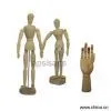 Sell Manikin thumbnail-1