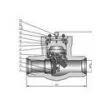 Pressure Seal Cast Steel Swing Check Valve thumbnail-1