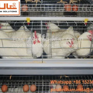 Indonesia Chicken Shed Hot Galvanized Cage for Hen & A Type Battery Layer Breeder Chicken Cage & Layer Coop for Poultry Farm thumbnail-2