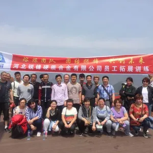 Hebei RuiFeng Cemented Carbide Co.,ltd company overview - view 2 thumbnail