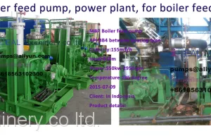19 2 MBP Boiler Feed Pump, Power Plant, for Boiler Feed Water Use Indonesia Client thumbnail-2