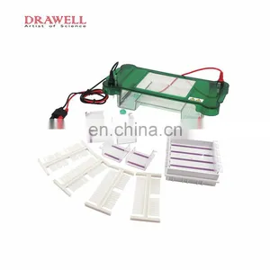 SPCT Universal Lab And Medical Horizontal Electrophoresis Machine thumbnail-3