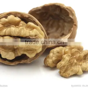 Organic Walnuts in Shell thumbnail-1