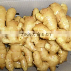 2015 New Harvest Chinese Fresh Ginger Best Quality thumbnail-1