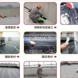Color Steel Roof Waterproofing Coating and Pond Waterproofing Coating thumbnail-4