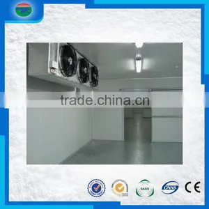 Practical Trade Assurance Blast Pizza Case Freezer Cold Storage/cold Room thumbnail-6