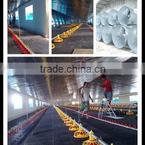 ISO9001 Qualifed Birdsitter Automatic Chicken House Poultry Farming System thumbnail-6