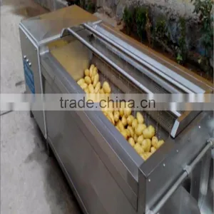 Potato Washing and Peeling Machine thumbnail-2