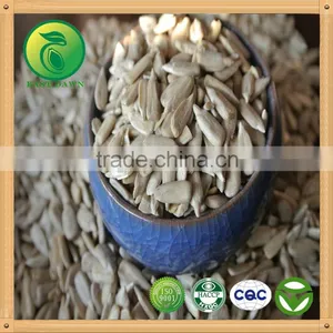 Sun Flower Seed Kernels Market Peice thumbnail-2