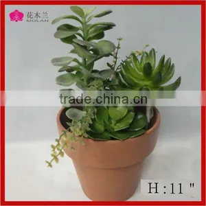 Quality Super Realistic Green Mini Succulent Plants Bonsai thumbnail-1
