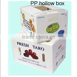 Eco-friendly pp Corrugated Fruit Box,corflute Fruit Box,mango Box,litchi Box thumbnail-1