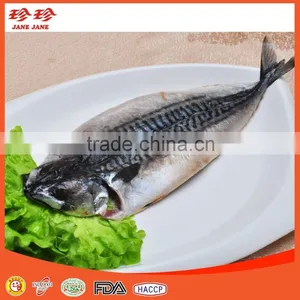 Frozen Smoked Mackerel With Butterfly Shape thumbnail-1