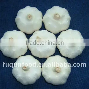 Fresh Chinese Garlic thumbnail-1