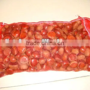 Chinese Fresh Chestnut in Shell With Mesh Bag Packing thumbnail-3