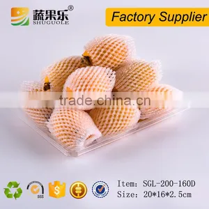 Disposable Plastic PET Fruit and Vegetable Tray thumbnail-2
