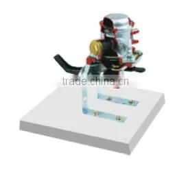 Mechanical Fuel Pump Dissection Model thumbnail-1