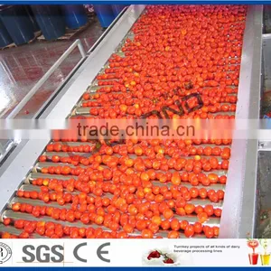 Complete Set of Tomato Processing Line thumbnail-3
