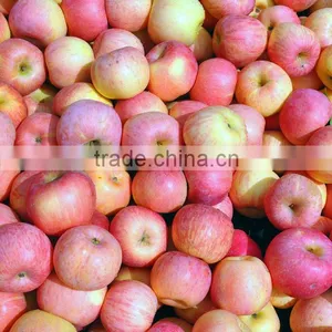 Fresh Fruit Chinese Gala Apple thumbnail-5