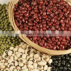 Red Kidney Beans for Hot Sale and With Free Sample for Sale thumbnail-3