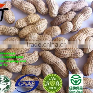 Spicy Peanuts thumbnail-5