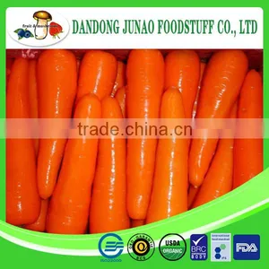 New Season Bulk Chinese Carrot in Fresh thumbnail-1