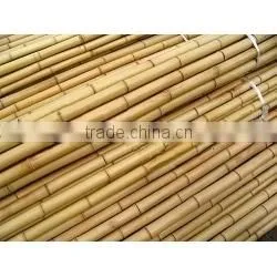 Nature Dried Bamboo Pole Diameter 2-10cm Height 6m for Sale thumbnail-3