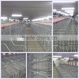 2017 Popular Automatic System Livestock Automatic Feeder Pig Equipment Pig Cage thumbnail-1