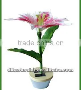Solar Lights for Garden thumbnail-1