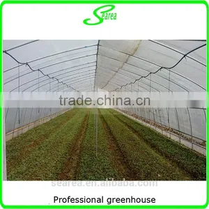 Polytunnel Steel Structure Used Greenhouse thumbnail-5